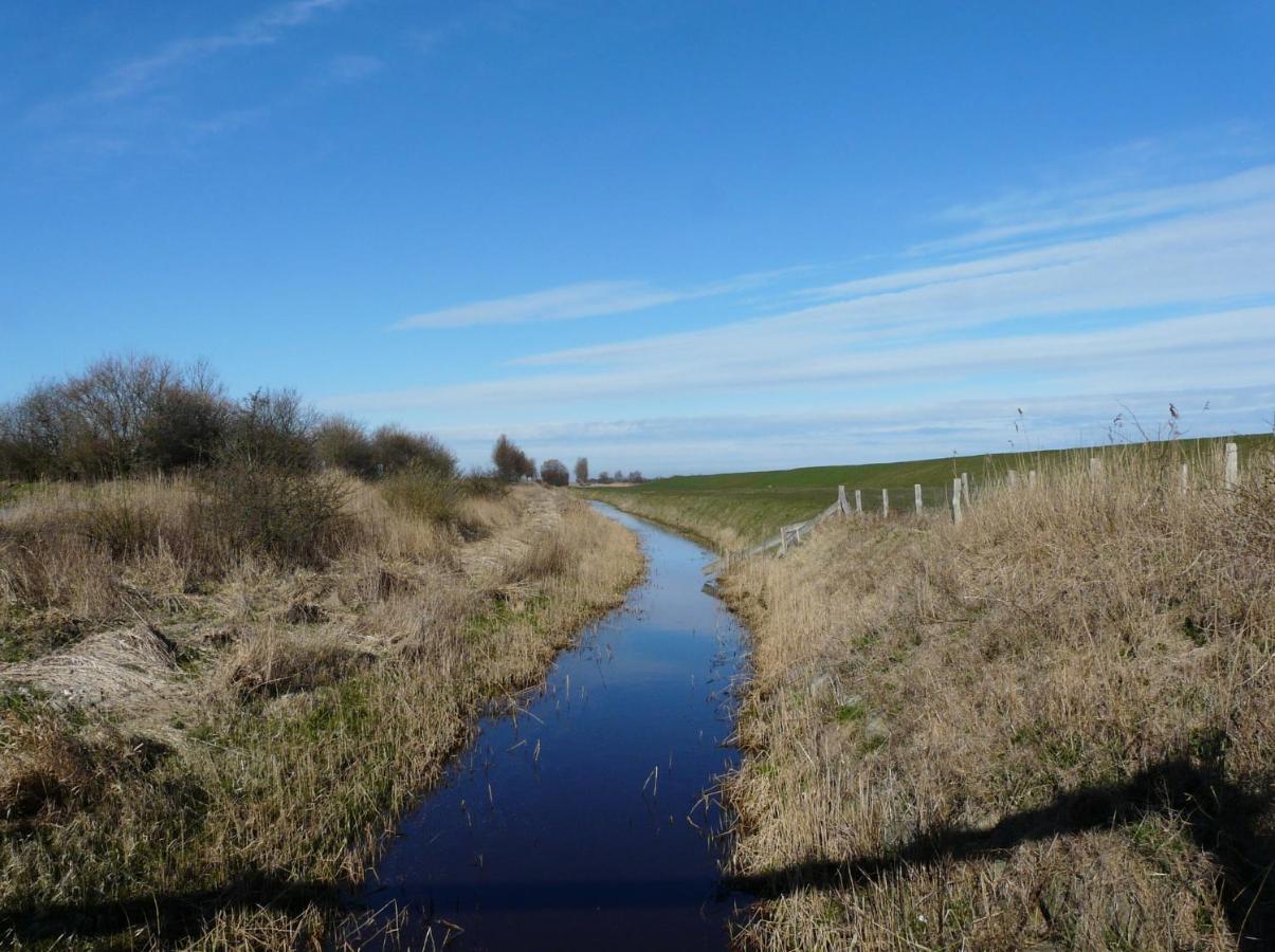 Apartmán Haus Am Teich - Teichblick Fehmarn Exteriér fotografie